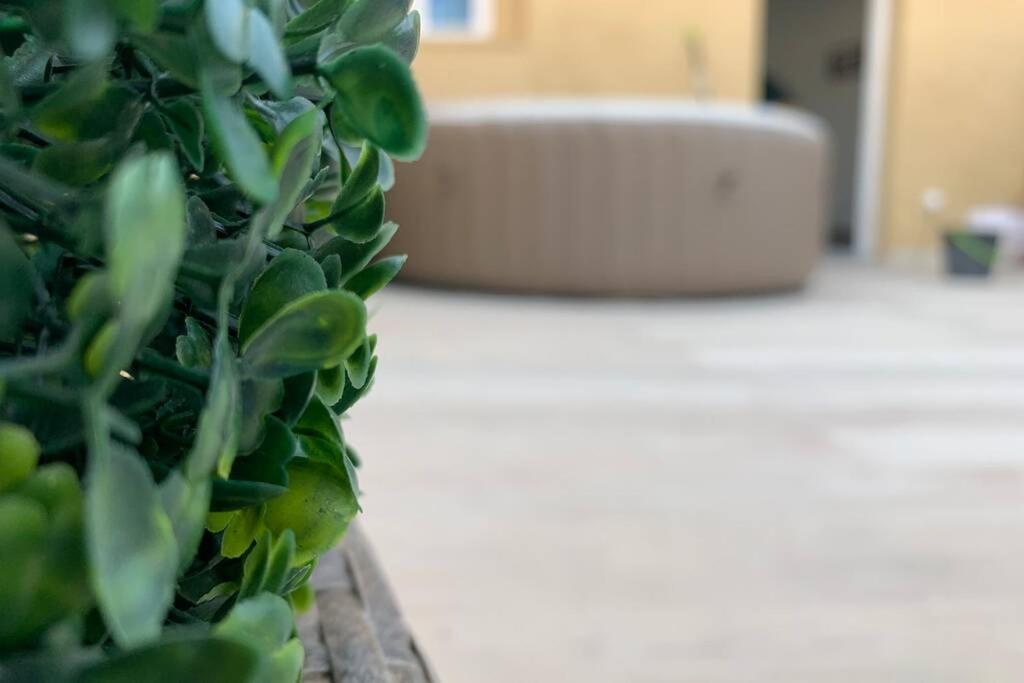 Casa Del Arbol En El Delta Del Ebro Apartment เดลแตเบรอ ภายนอก รูปภาพ